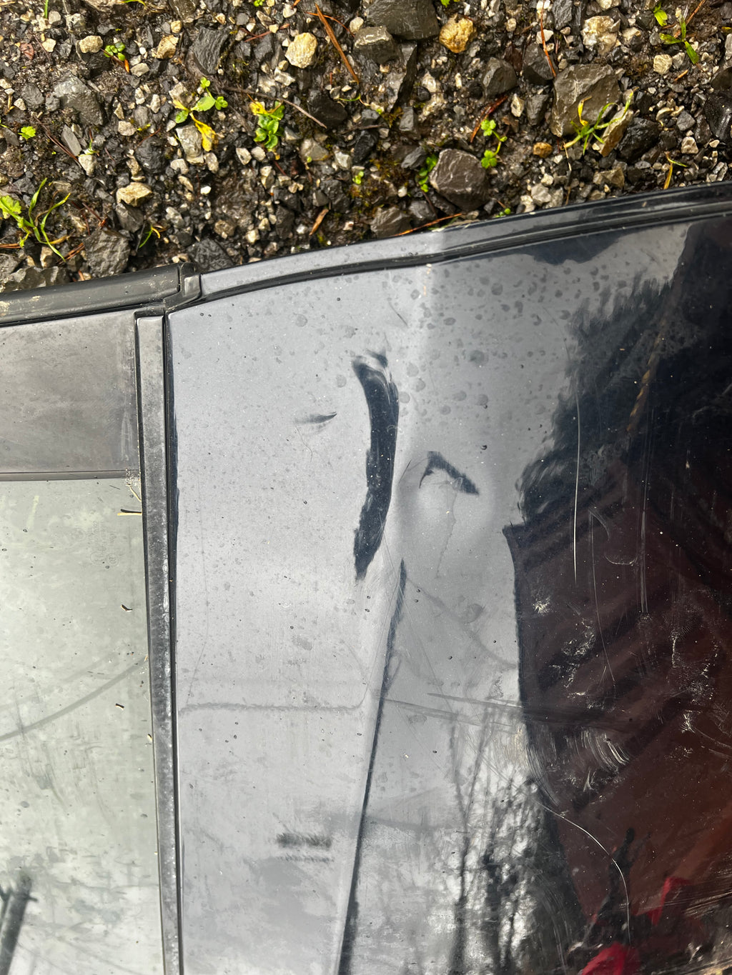 E60 bmw 2007 525d Msport rear driver door