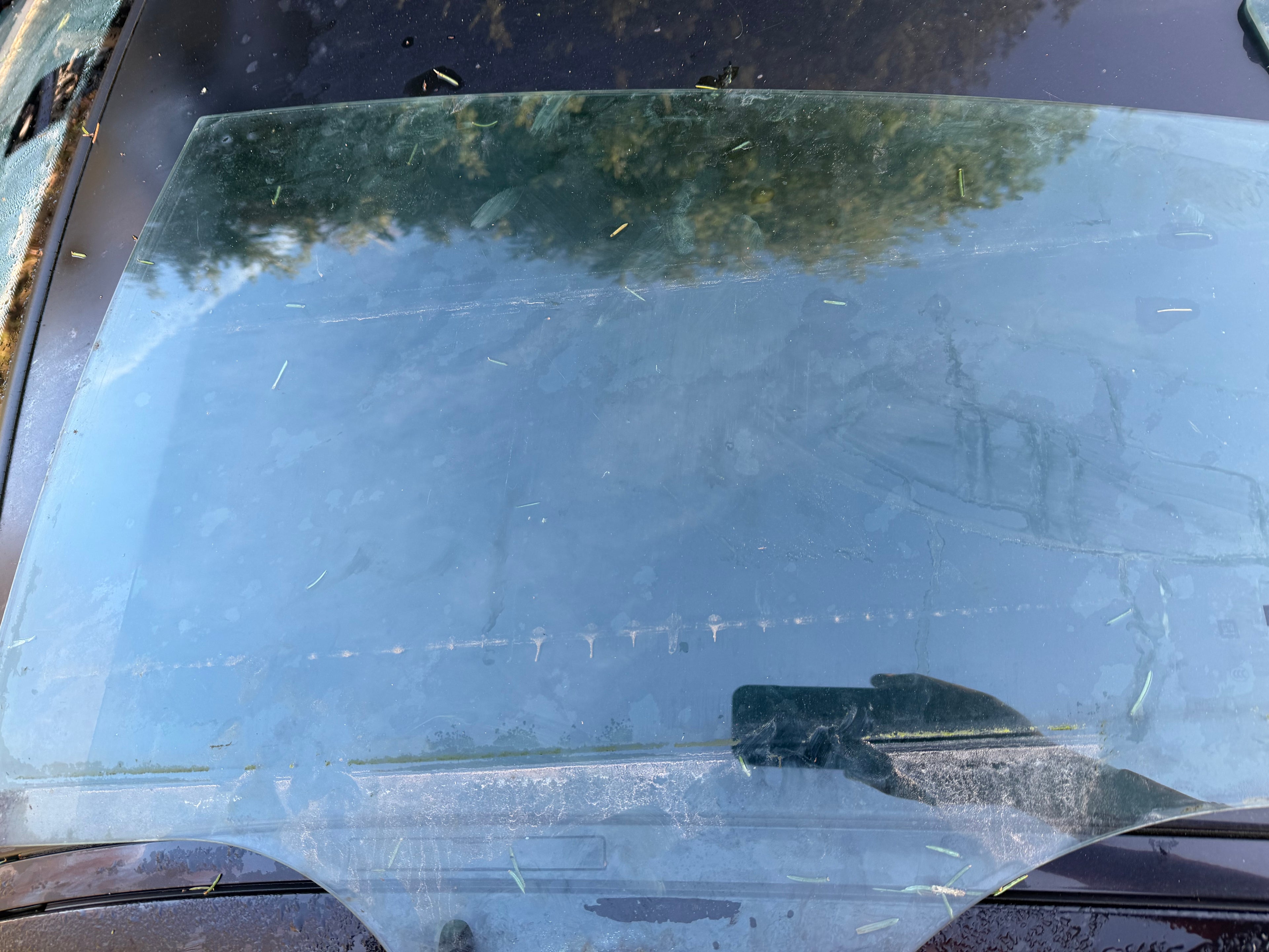 Insignia 2012 rear passenger window